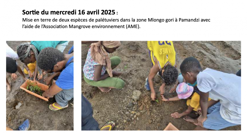 PNG - 1.7 Mio