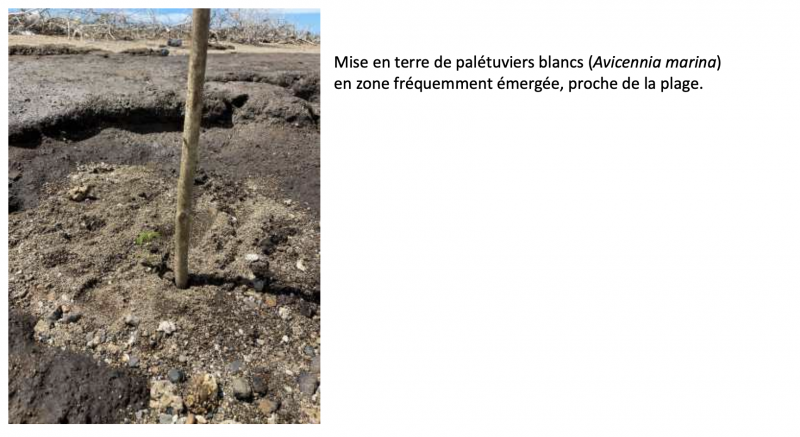PNG - 1.1 Mio